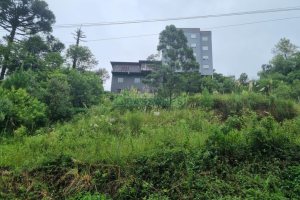 Terreno com 516m², no bairro Bela Vista em Caxias do Sul para Comprar