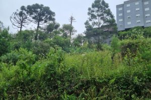 Terreno com 516m², no bairro Bela Vista em Caxias do Sul para Comprar