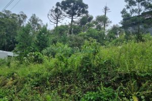 Terreno com 516m², no bairro Bela Vista em Caxias do Sul para Comprar