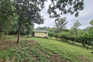 Chácara com 80m², 2 dormitórios, no bairro 3 Legua em Caxias do Sul para Comprar