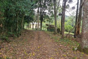 Chácara com 80m², 2 dormitórios, no bairro 3 Legua em Caxias do Sul para Comprar