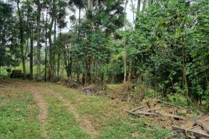 Chácara com 80m², 2 dormitórios, no bairro 3 Legua em Caxias do Sul para Comprar