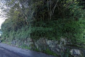 Terreno com 43000m², no bairro Nossa Senhora das Graças em Caxias do Sul para Comprar