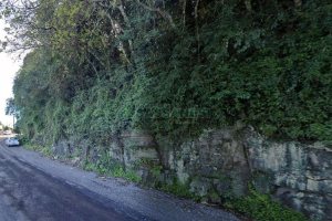 Terreno com 43000m², no bairro Nossa Senhora das Graças em Caxias do Sul para Comprar