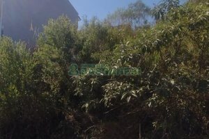 Terreno com 360m², no bairro São Luiz em Caxias do Sul para Comprar