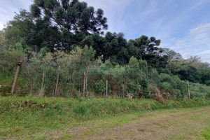 Terreno com 20413m², no bairro Pedancino em Caxias do Sul para Comprar