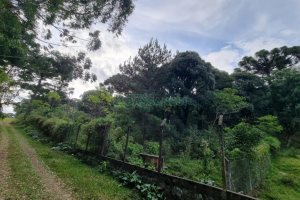 Terreno com 20413m², no bairro Pedancino em Caxias do Sul para Comprar