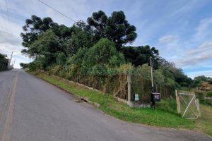 Terreno com 20413m², no bairro Pedancino em Caxias do Sul para Comprar