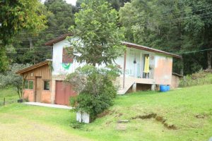 Chácara com 21896m², 2 dormitórios, no bairro Pedancino em Caxias do Sul para Comprar