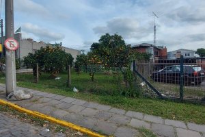 Terreno com 660m², no bairro Desvio Rizzo em Caxias do Sul para Comprar