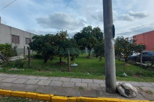 Terreno com 660m², no bairro Desvio Rizzo em Caxias do Sul para Comprar