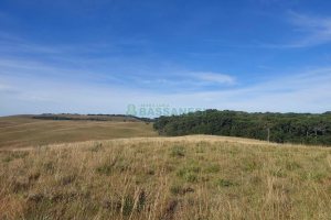 Terreno, no bairro Fazenda Souza em Caxias do Sul para Comprar