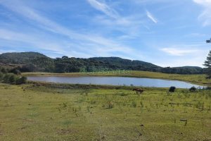 Terreno, no bairro Fazenda Souza em Caxias do Sul para Comprar