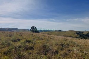 Terreno, no bairro Fazenda Souza em Caxias do Sul para Comprar