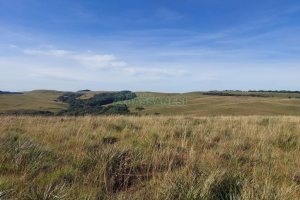 Terreno, no bairro Fazenda Souza em Caxias do Sul para Comprar