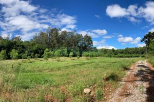 Chácara com 20000m², no bairro Linha 40 em Caxias do Sul para Comprar