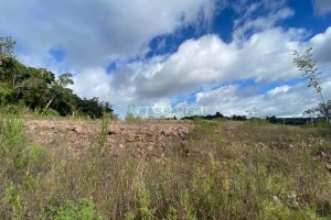 Terreno com 319m², no bairro Nossa Senhora das Graças em Caxias do Sul para Comprar