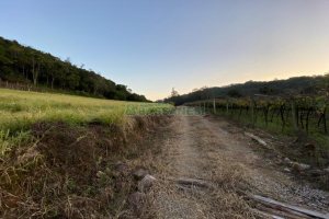 Terreno com 113285m², no bairro Vila Lobos em Caxias do Sul para Comprar