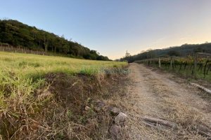Terreno com 113285m², no bairro Vila Lobos em Caxias do Sul para Comprar