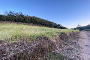 Terreno com 113285m², no bairro Vila Lobos em Caxias do Sul para Comprar