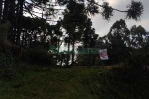 Terreno com 15257m², no bairro Jardim Iracema em Caxias do Sul para Comprar