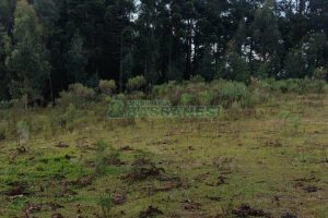 Terreno com 15257m², no bairro Jardim Iracema em Caxias do Sul para Comprar