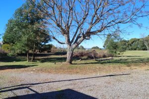 Terreno com 15377m², no bairro Diamantino em Caxias do Sul para Alugar