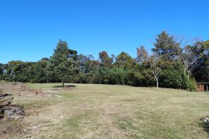 Terreno com 15377m², no bairro Diamantino em Caxias do Sul para Alugar