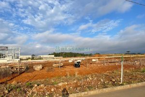 Pavilhão com 1434m², no bairro Distrito Industrial em Caxias do Sul para Alugar