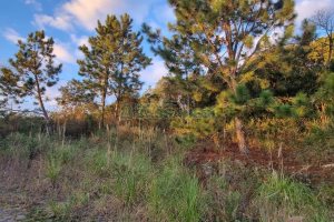Terreno com 360m², no bairro Parada Cristal em Caxias do Sul para Comprar