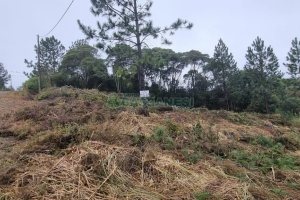 Terreno com 300m², no bairro Parada Cristal em Caxias do Sul para Comprar