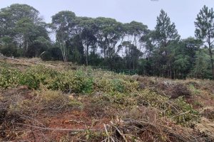Terreno com 300m², no bairro Parada Cristal em Caxias do Sul para Comprar