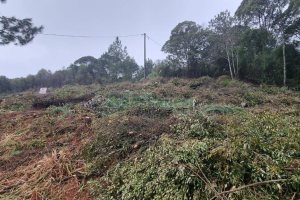 Terreno com 300m², no bairro Parada Cristal em Caxias do Sul para Comprar