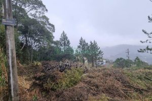 Terreno com 300m², no bairro Parada Cristal em Caxias do Sul para Comprar