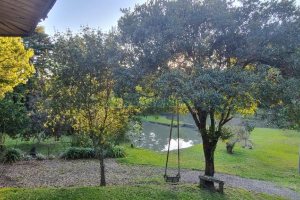 Chácara com 300m², 4 dormitórios, no bairro Fazenda Souza em Caxias do Sul para Comprar