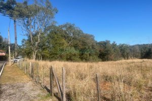 Chácara, no bairro Pedancino em Caxias do Sul para Comprar