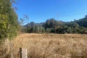 Chácara, no bairro Pedancino em Caxias do Sul para Comprar