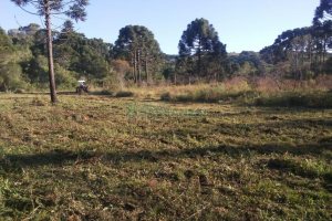 Chácara, no bairro Criúva em Caxias do Sul para Comprar