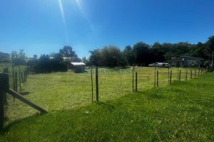 Terreno com 1320m², no bairro Linha 40 em Caxias do Sul para Comprar