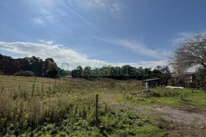 Terreno com 1320m², no bairro Linha 40 em Caxias do Sul para Comprar