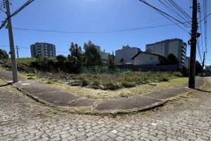 Terreno, no bairro Sanvitto em Caxias do Sul para Comprar
