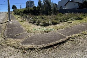 Terreno, no bairro Sanvitto em Caxias do Sul para Comprar