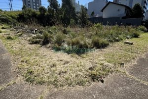 Terreno, no bairro Sanvitto em Caxias do Sul para Comprar