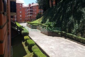 Apartamento com 42m², 2 dormitórios, no bairro Sagrada Família em Caxias do Sul para Comprar