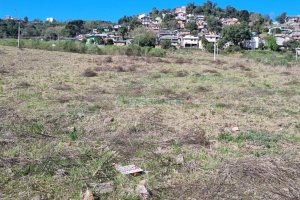 Terreno, no bairro Oriental em Caxias do Sul para Comprar
