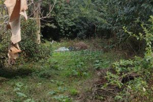 Terreno com 880m², no bairro Pio X em Caxias do Sul para Comprar