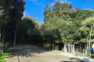 Terreno, no bairro Vinhedos em Caxias do Sul para Comprar