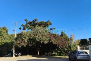 Terreno, no bairro Vinhedos em Caxias do Sul para Comprar