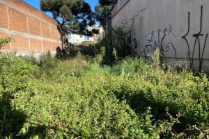Terreno, no bairro Rio Branco em Caxias do Sul para Comprar
