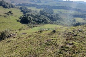 Chácara, no bairro Apanhador em Caxias do Sul para Comprar